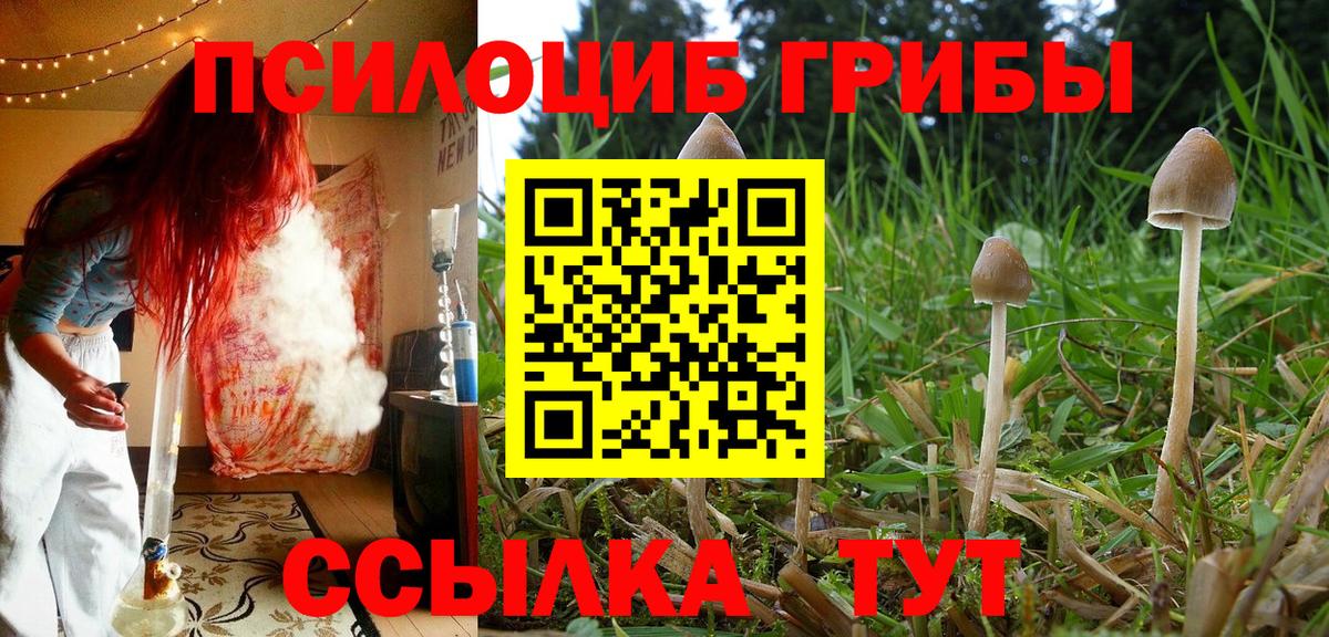 Галлюциногенные грибы прущие грибы Псков