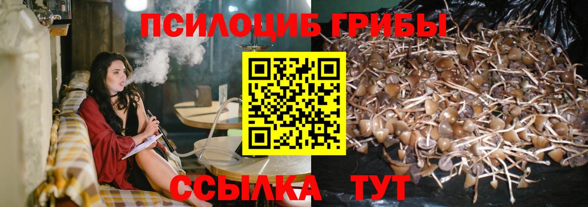 Галлюциногенные грибы прущие грибы  Вход с VPN  хочу наркоту  Псков 