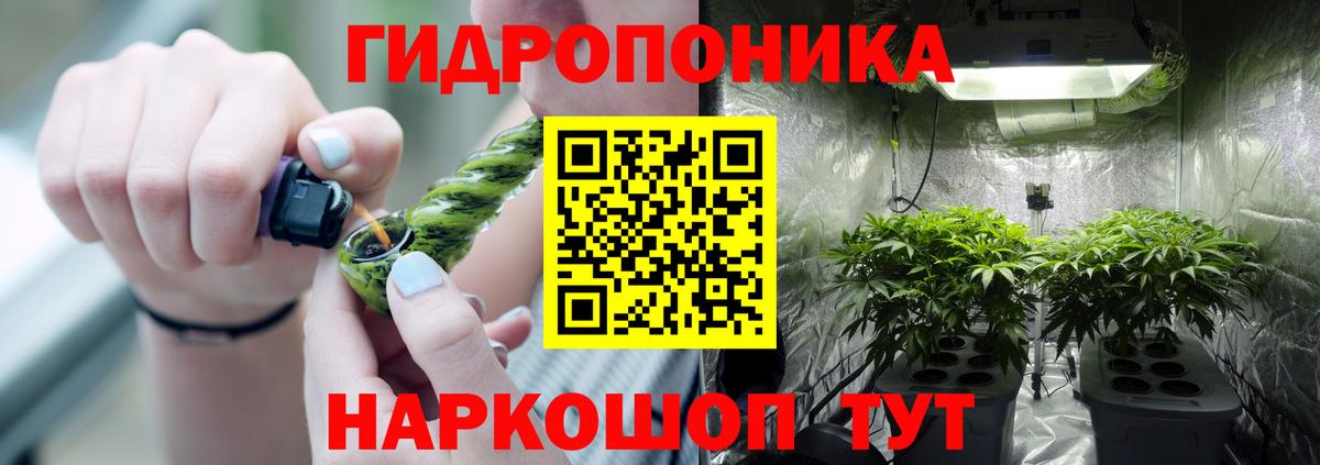 Марихуана сатива Псков